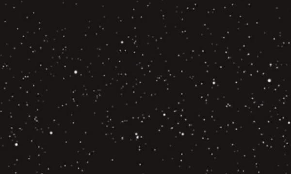 spacex stars